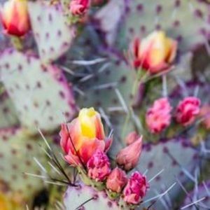 Meet your Posher, Steph